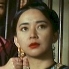 Sibelle Hu in Fong Sai-Yuk (1993)